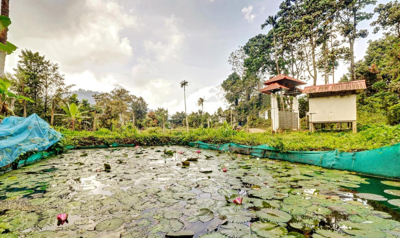 Treebo Tryst Jathika Resorts Calicut Eksteriør billede