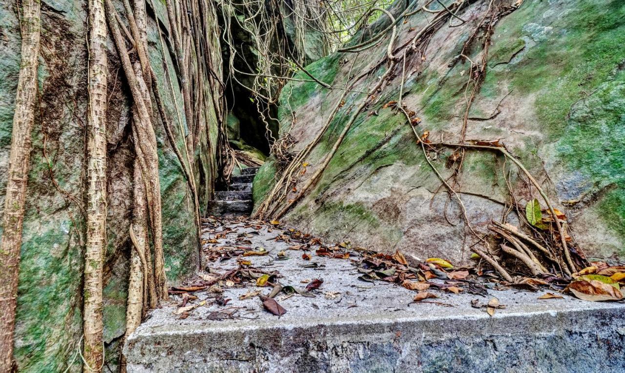 Treebo Tryst Jathika Resorts Calicut Eksteriør billede