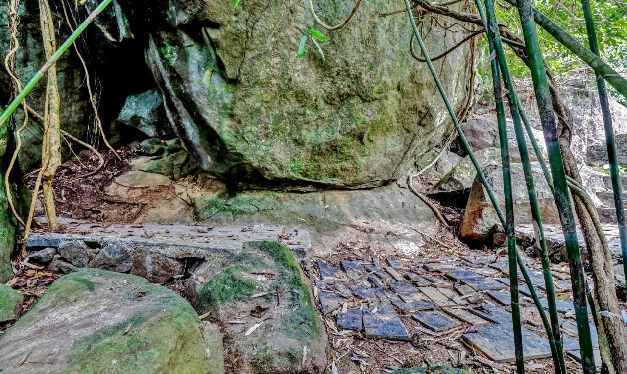 Treebo Tryst Jathika Resorts Calicut Eksteriør billede
